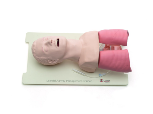 Laerdal® - Airway Management Trainer