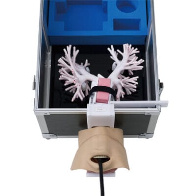 KOKEN Simulator za ultrazvočno bronhoskopijo LM-099